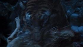 韩国大虎手机在线观看,在线观看揭秘神秘科技力量  第3张